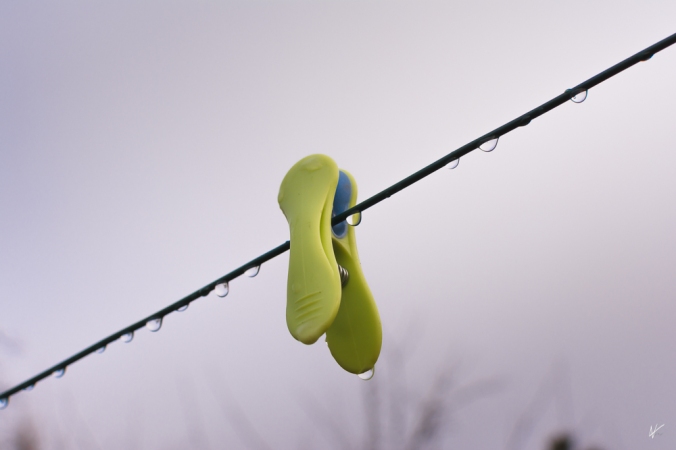 Winter on the Clothesline